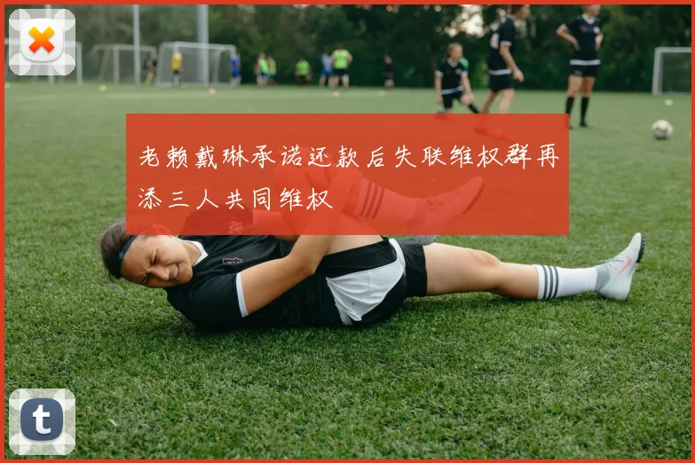 老赖戴琳承诺还款后失联维权群再添三人共同维权