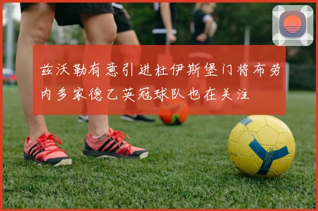兹沃勒有意引进杜伊斯堡门将布劳内多家德乙英冠球队也在关注