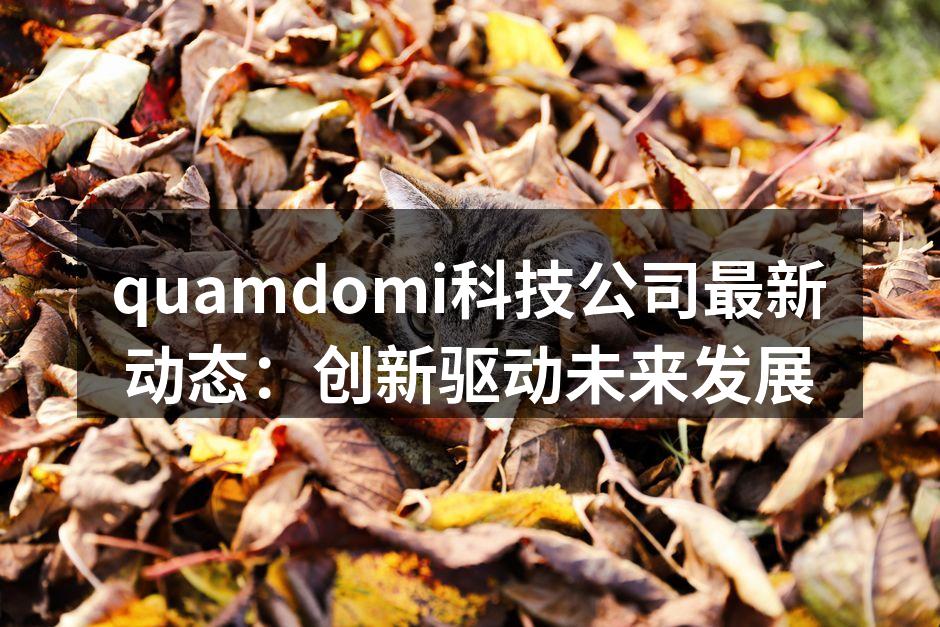 quamdomi科技公司最新动态：创新驱动未来发展